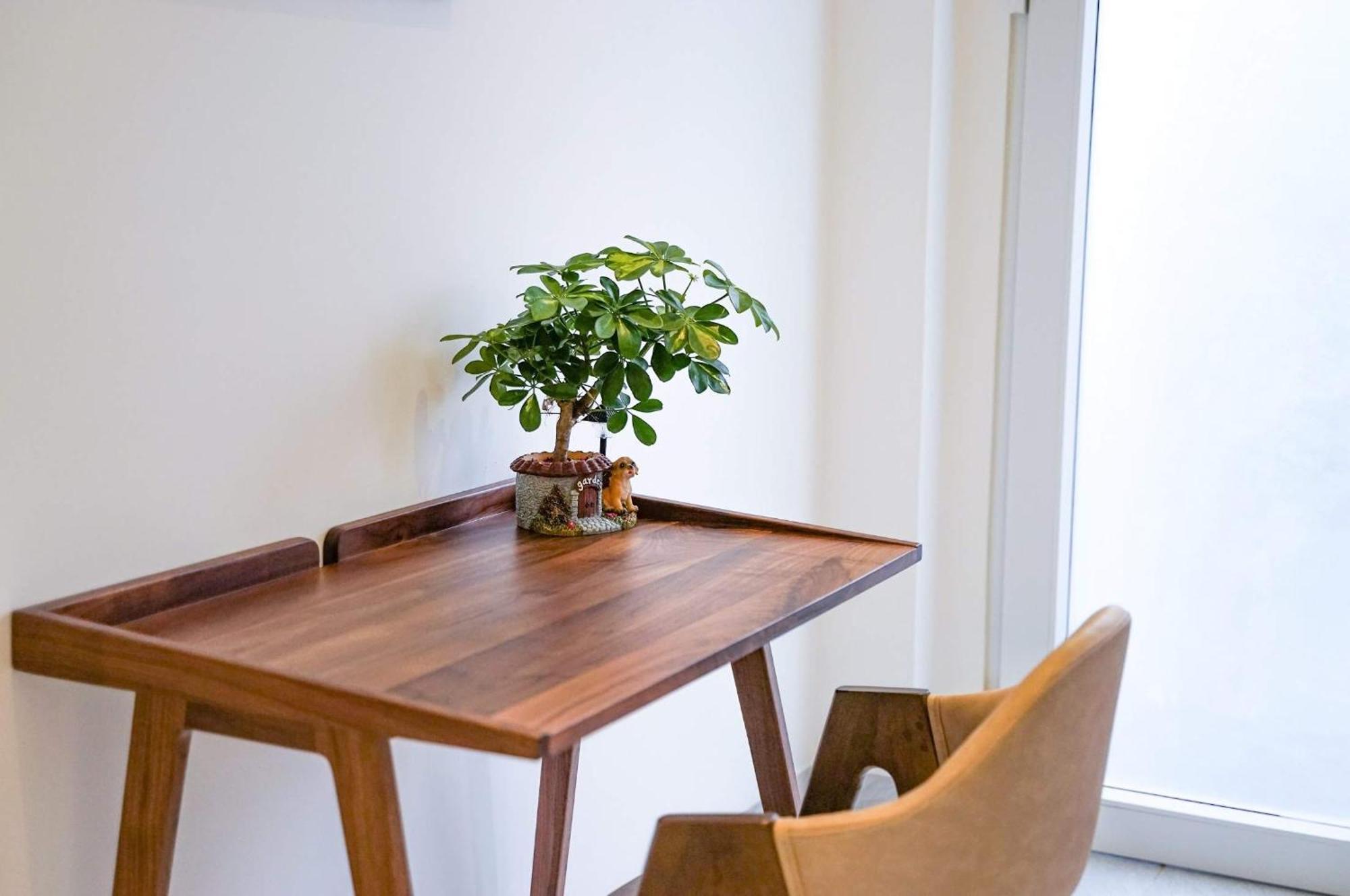 Local White House - Ecofriendly Homestay