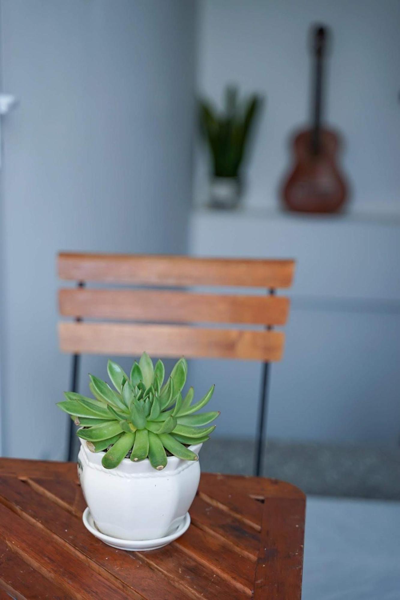 Local White House - Ecofriendly Homestay Apartment