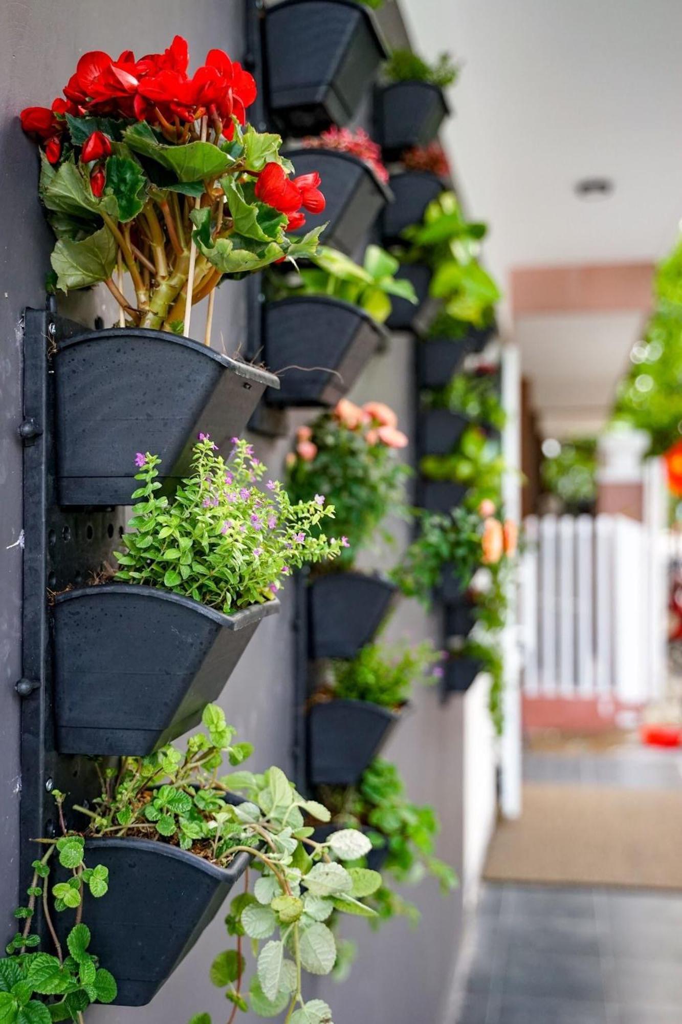 Local White House - Ecofriendly Homestay * Da Nang