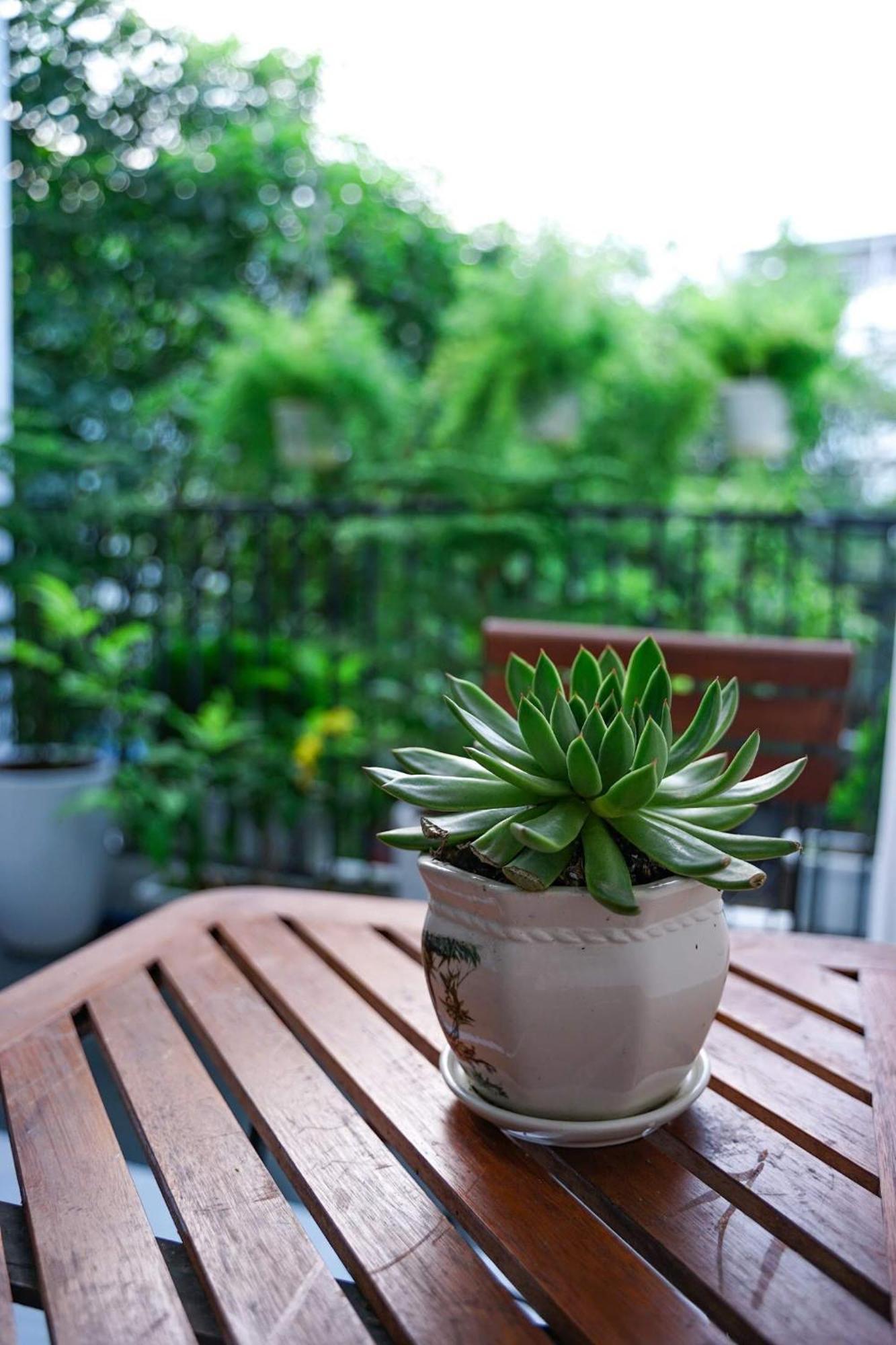 Apartment Local White House - Ecofriendly Homestay