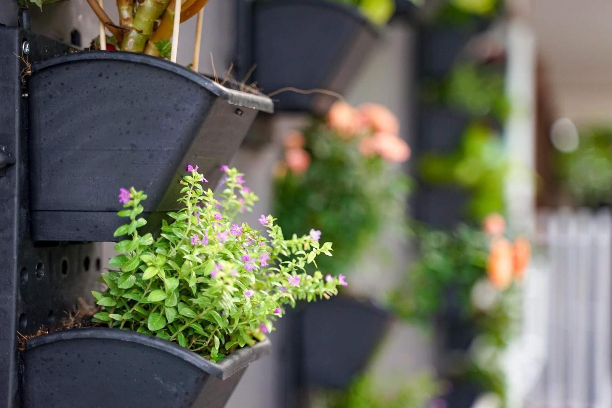 Apartment Local White House - Ecofriendly Homestay Da Nang