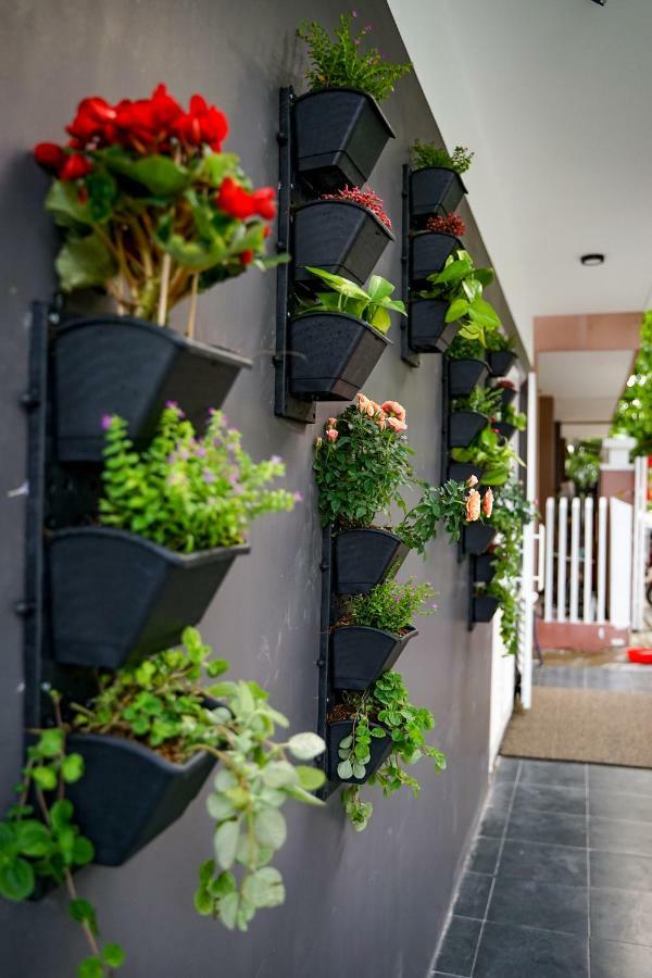 Local White House - Ecofriendly Homestay Apartment